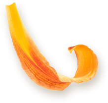 Condomínio Quatro Estações - Lagoa Santa MG